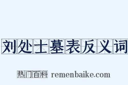 刘处士墓表反义词是什么意思的图片